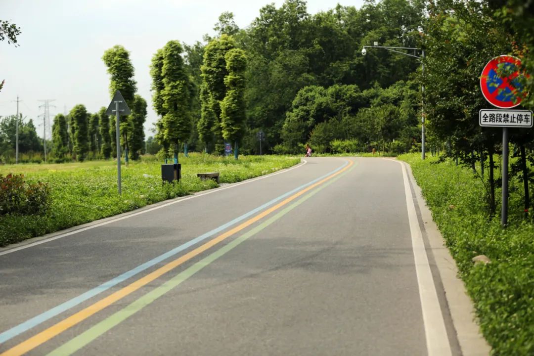 温江北林绿道图片