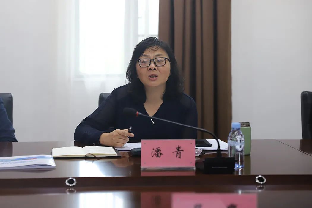 以项目建设实效助推强省会战略实施马栏山视频文创园召