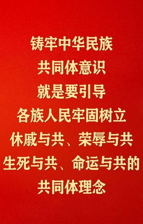 民族政策宣传月以铸牢中华民族共同体意识为主线推动新时代党的民族
