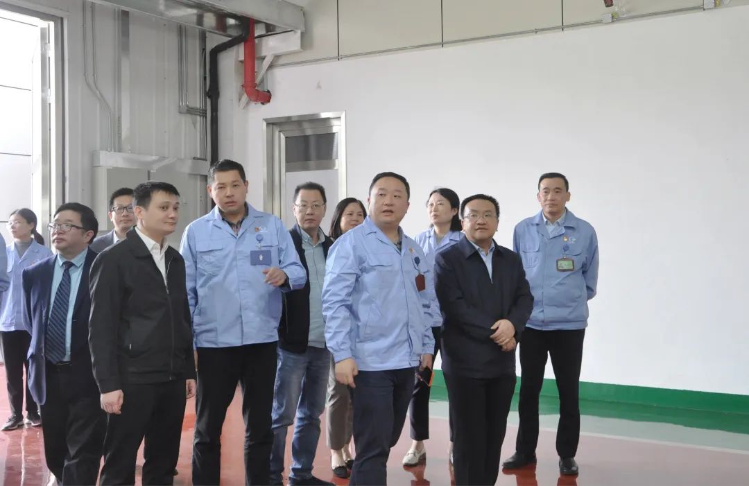 全国人大代表张杰,市人大代表黄文,市人大代表何霞,市政协委员郭鸿雁