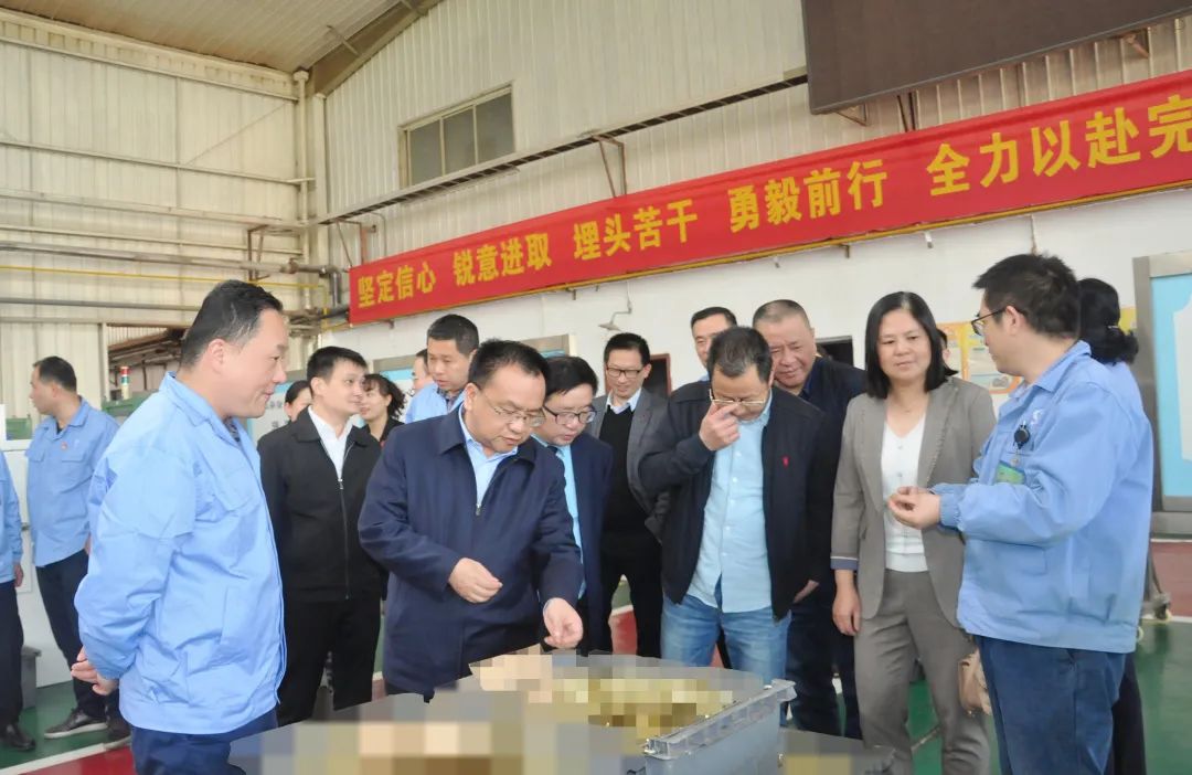 全国人大代表张杰,市人大代表黄文,市人大代表何霞,市政协委员郭鸿雁