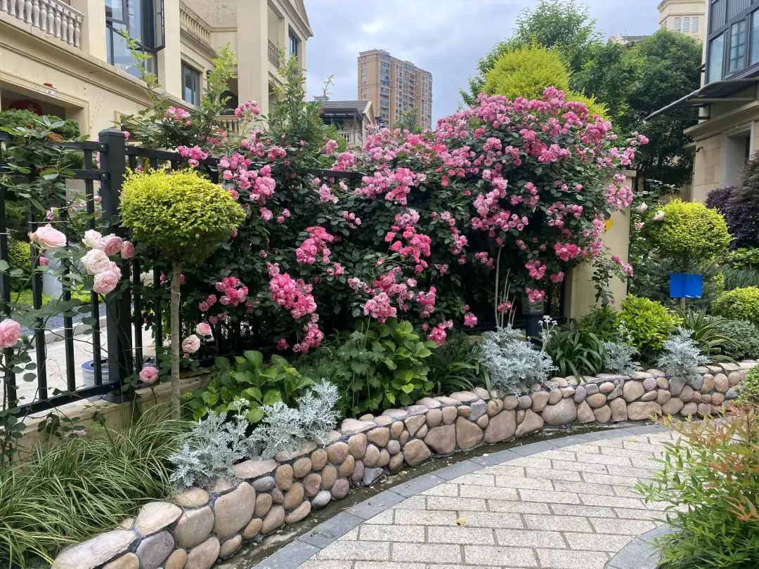 庭院里的美好生活(一)|愚人花园:把爱情和岁月一同种在院子里