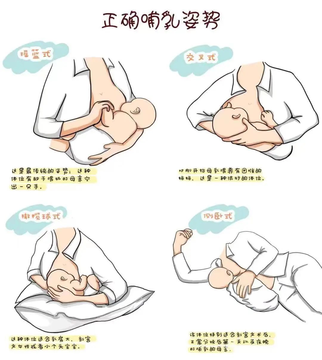 01摇篮式哺乳姿势妈妈用手臂的肘关节内侧支撑住宝宝的头,使他的腹部