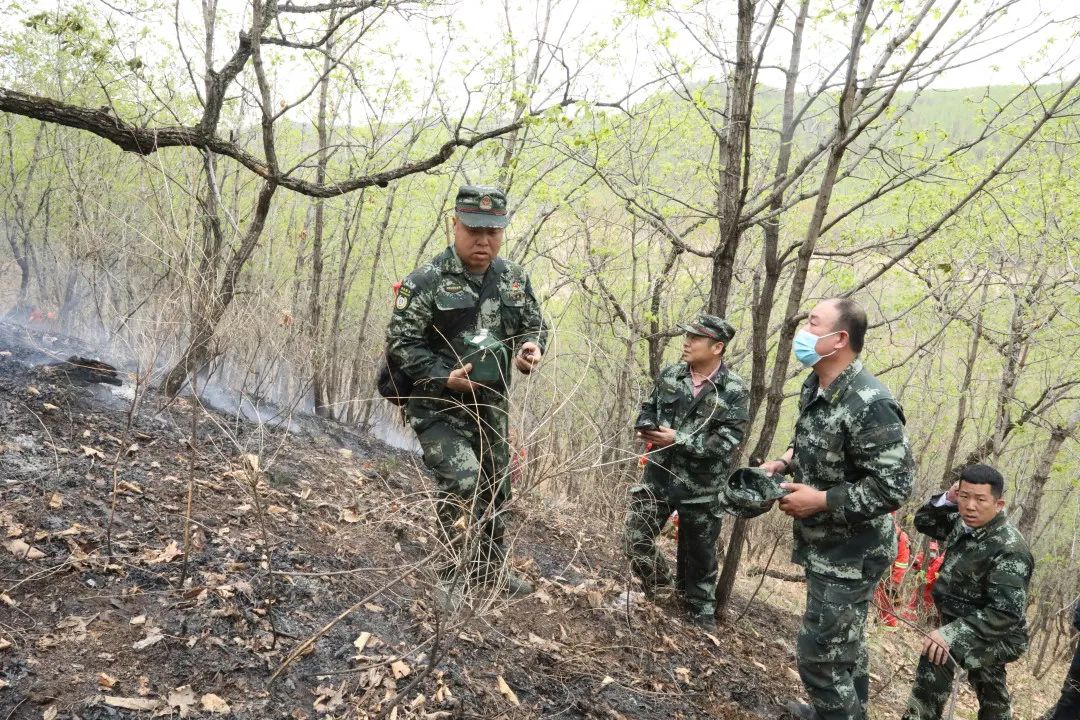 【特战行动】疾如风快如电!一场55分钟歼灭的雷击火