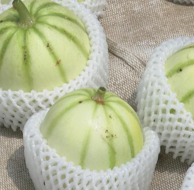 沪郊四大名瓜之一的亭林雪瓜月底大量上市