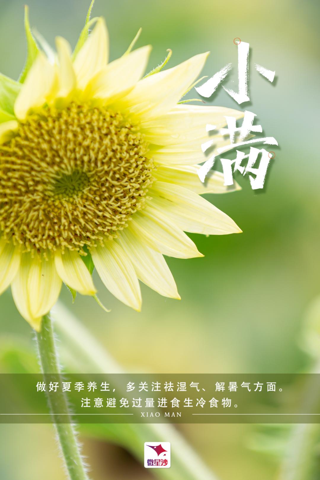 今日小满丨最好人生是小满