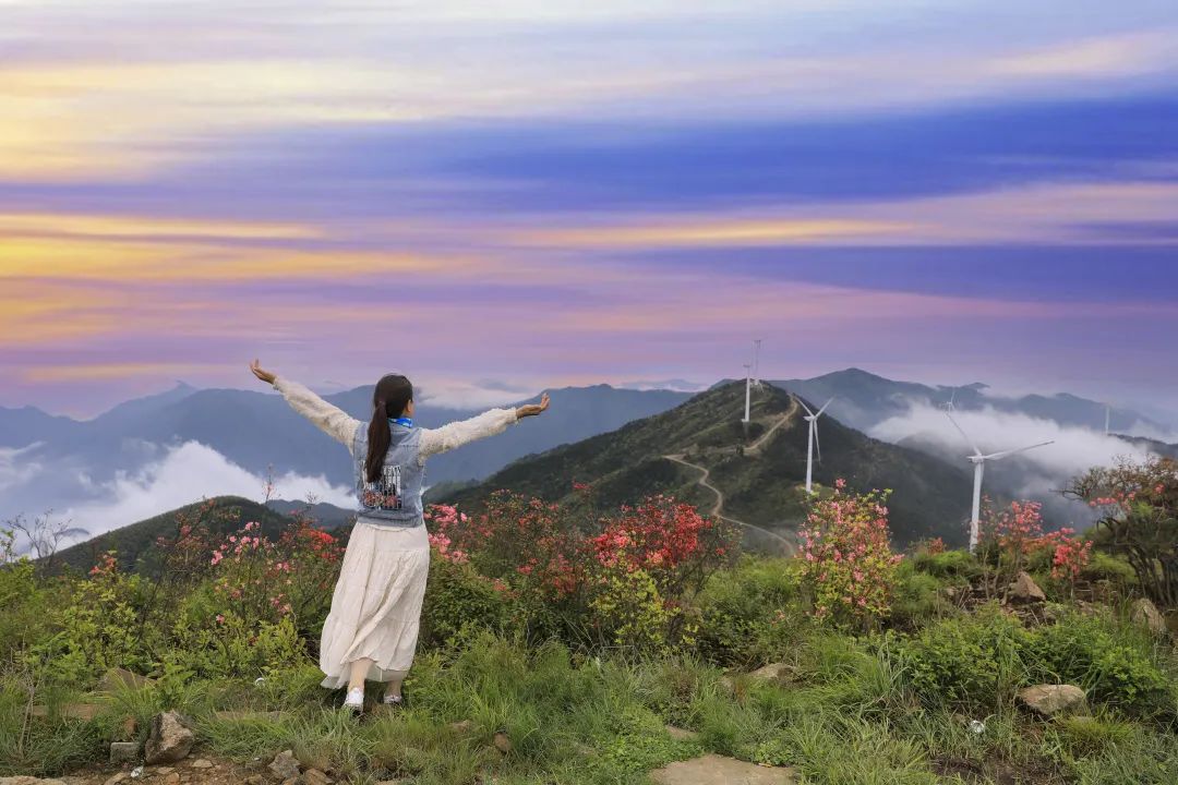 杜鹃花海人生至少应该邂逅一次这样绝美的风景鲜艳夺目的油彩画却又将