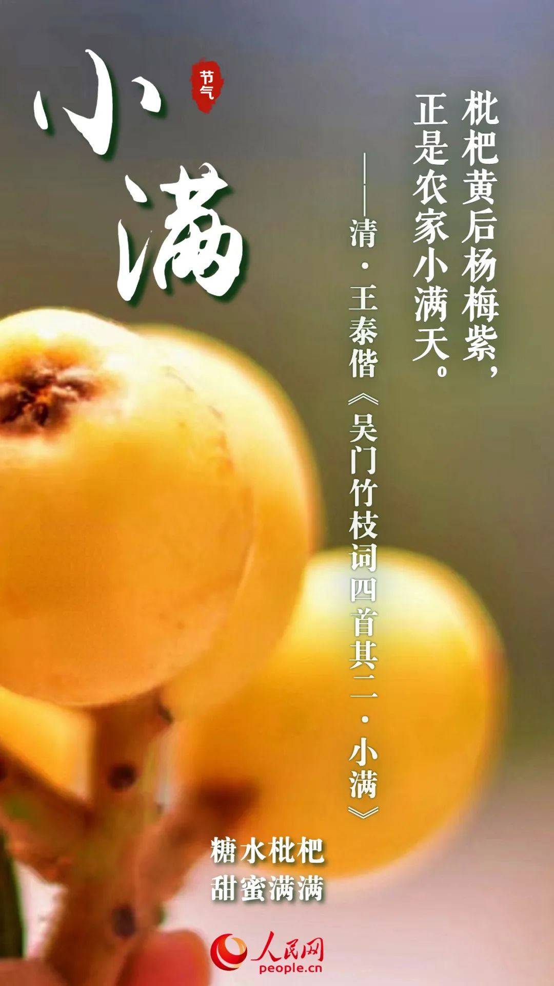 网络中国节小满今日小满