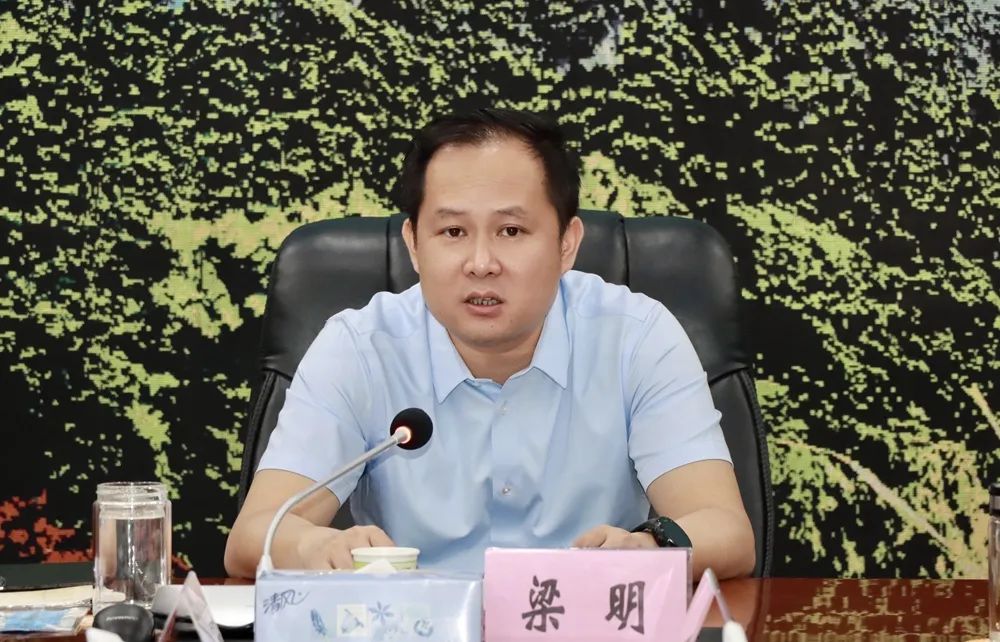 会议听取《昌江黎族自治县人民政府原县长林谟谐同志经济责任审计报告
