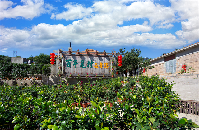 荣成石岛花村图片