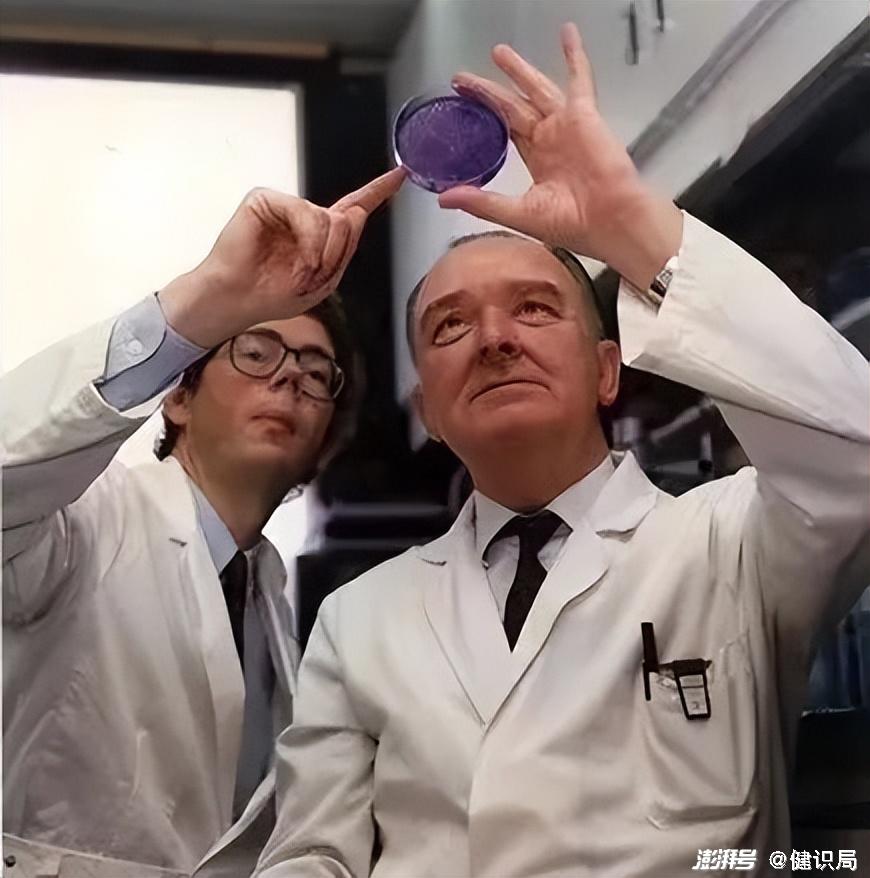医药营销的“黄埔军校”,也没能跑赢时代_澎湃号·湃客_澎湃新闻-The Paper