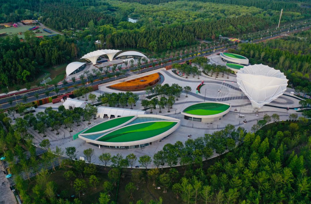 去年今日第十届中国花博会在崇明开幕