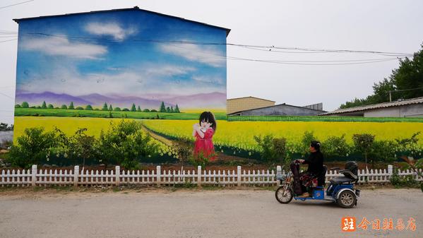 駐馬店:手繪牆畫 為鄉村展開美麗畫卷_媒體_澎湃新聞-the paper