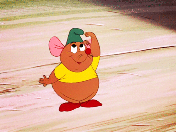 国际生物多样性日丨家门口的自然观察 让我们发现生活中另一种"风景"