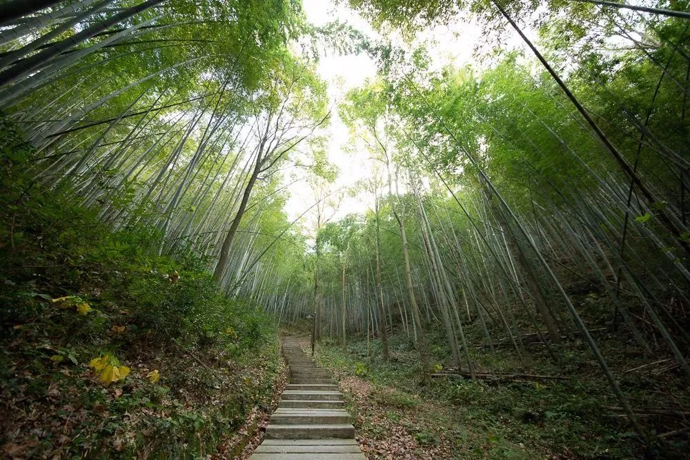 長崗山森林公園段長春嶺至青青世界段原標題:《全程149公里,舟山的