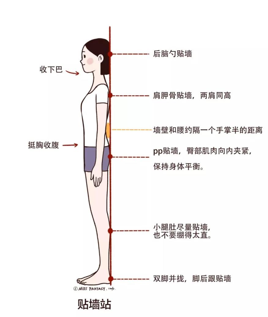 向後肩部繞環屈臂,肩膀向後做畫圓動作,幅度越大越好.