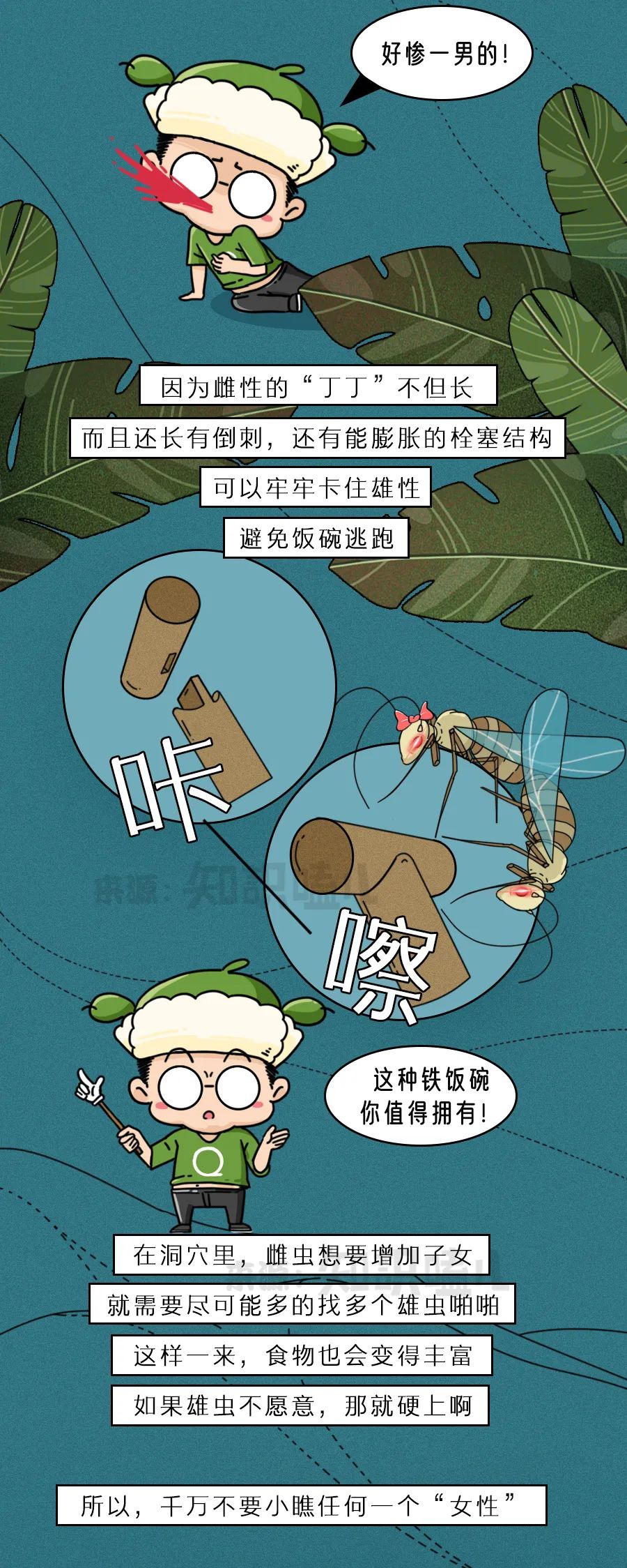 弱肉强食的动物世界,没你想得那么简单