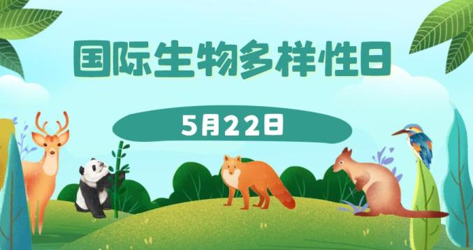 国际生物多样性日生态环境部共建地球生命共同体