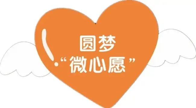 公益行动圆梦微心愿爱心助成长2022微心愿公益活动邀您参与