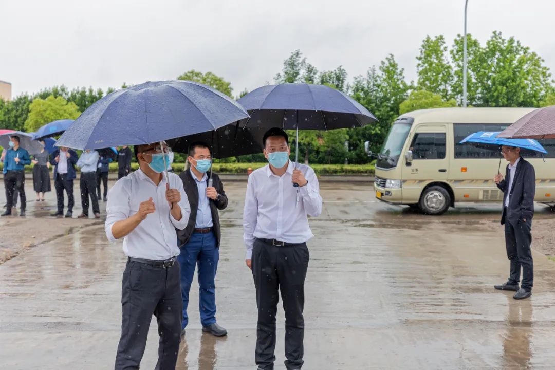 宁波包朝阳图片