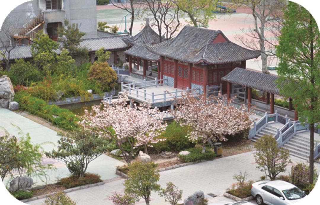 徐州五中以把学校建设成"传统文化特色为底蕴,现代化办学条件为支撑