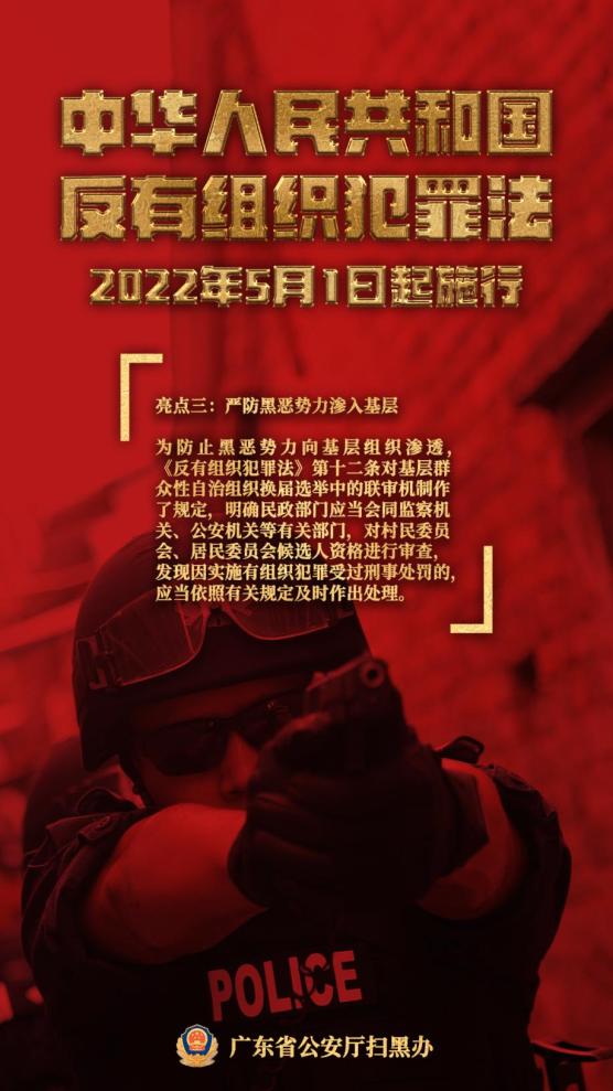 反有组织犯罪法宣传教育一起学习反有组织犯罪法