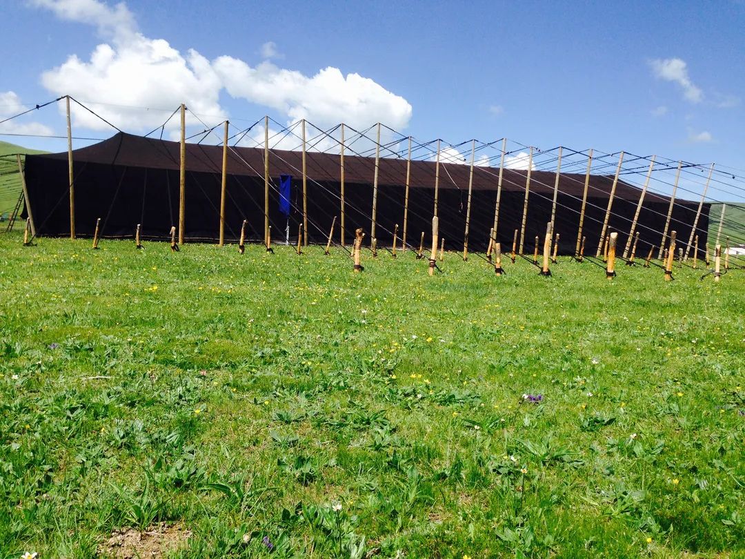 民族文化黑帐篷游牧民族历史文化的活化石