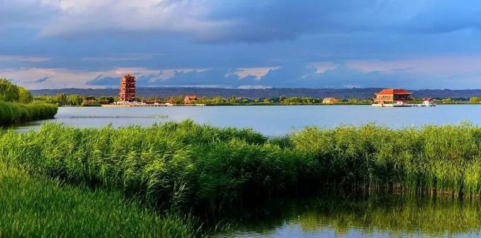 张掖市高台县波光潋滟鸟翩跹