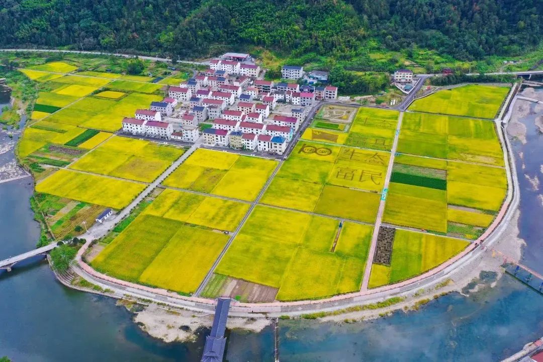 双方举行"共建,共享,共富"交流会,赤岸镇的塘边村与方前镇的和溪村