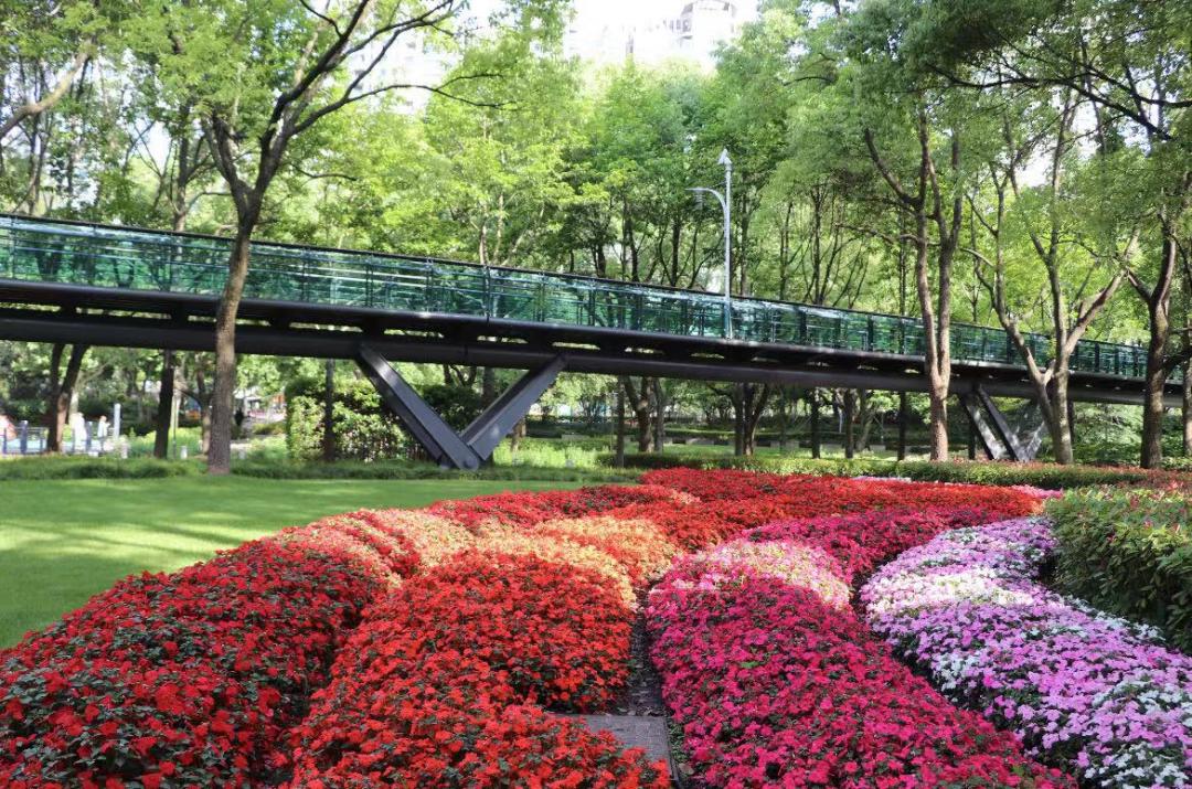 错过春天的遗憾,徐汇的公园要在初夏帮你补回来_澎湃号·政务_澎湃新