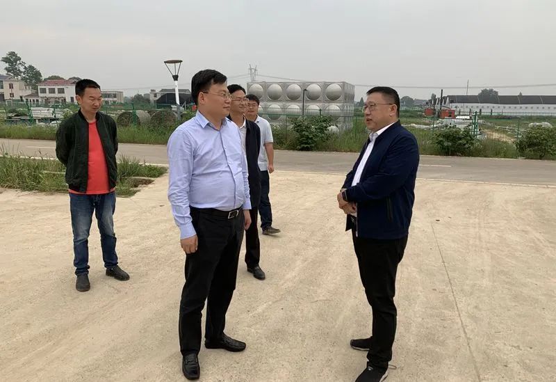 突出主题教育聚焦司法为民为民营企业发展解难题