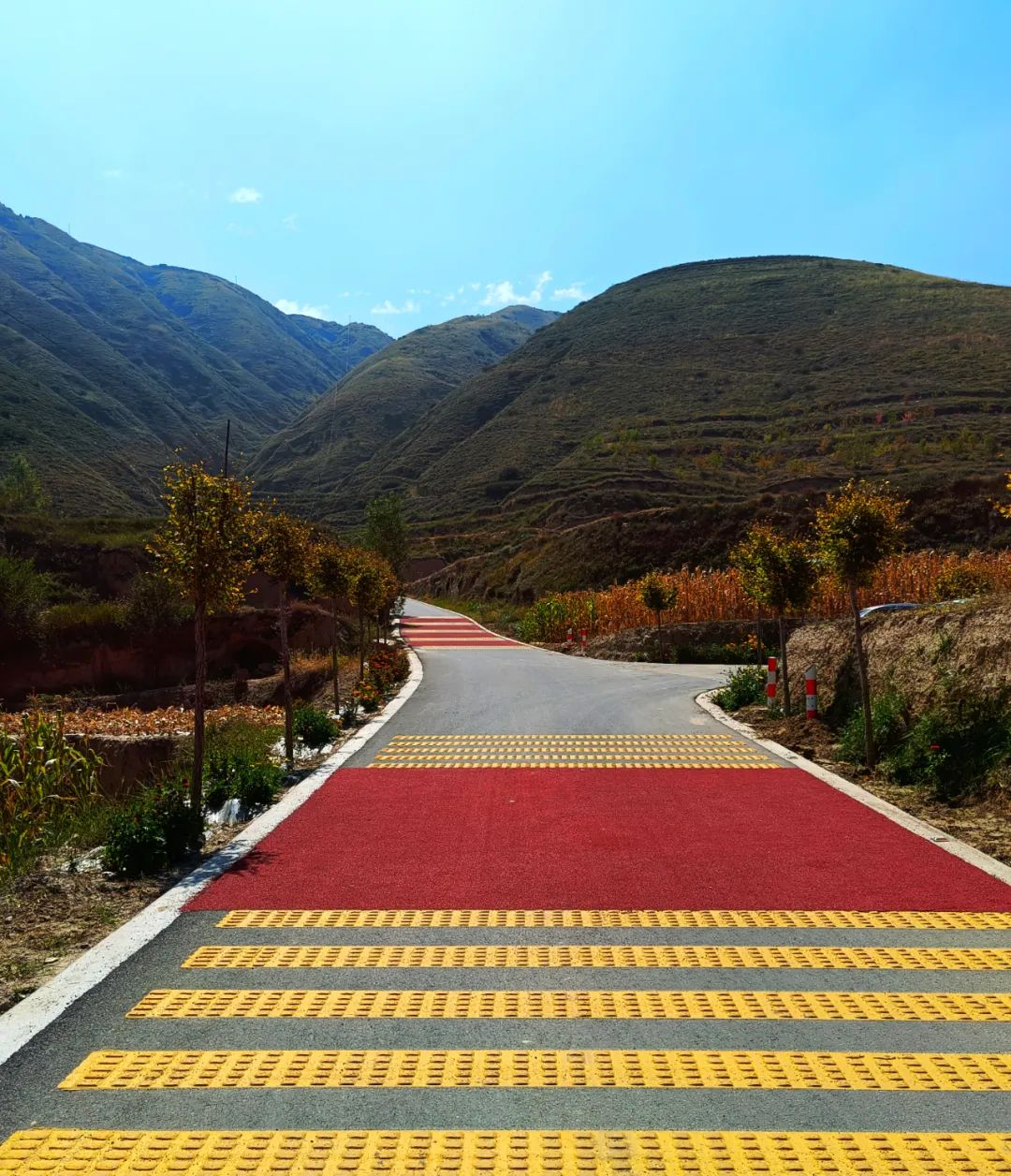 临洮四好农村路见证美丽乡村新蝶变