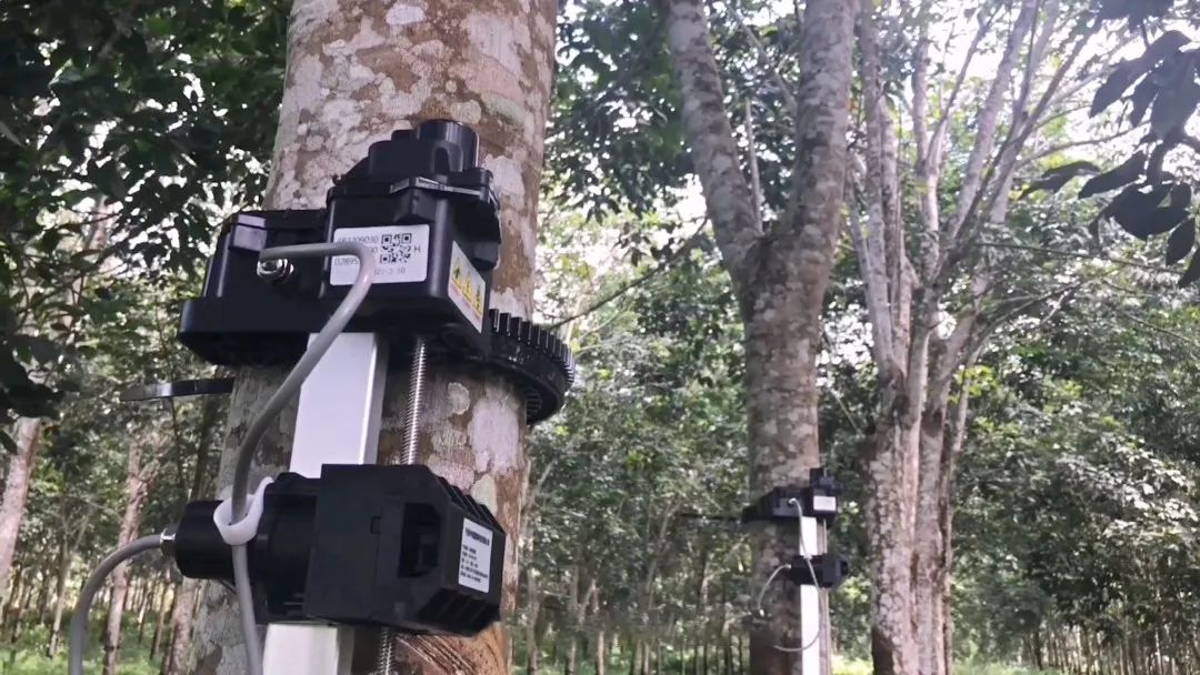 如何看待自动割胶机落地西双版纳且看智慧胶园试验装备落地引发的思考