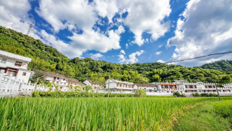 中共中央办公厅 国务院办公厅印发《乡村建设行动实施方案》：深入实施“互联网+”农产品出村进城工程