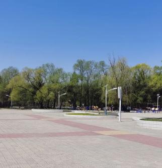 春风春绿拉哈镇修复基础设施提升群众满意度