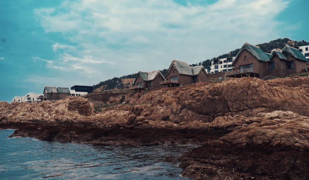 動物世界,金石灣藝術園區,海驢島,雞鳴島等雞鳴島海草房民宿如果你想