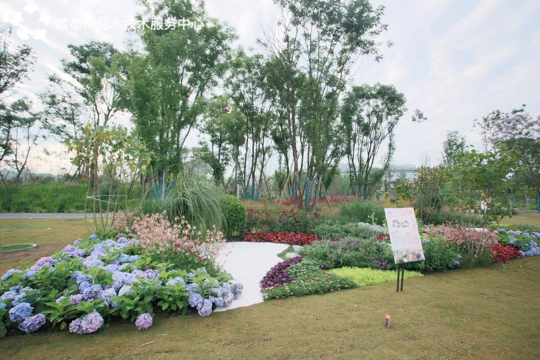 絕美花境驚喜亮相鳳凰山1號公園再添新景觀