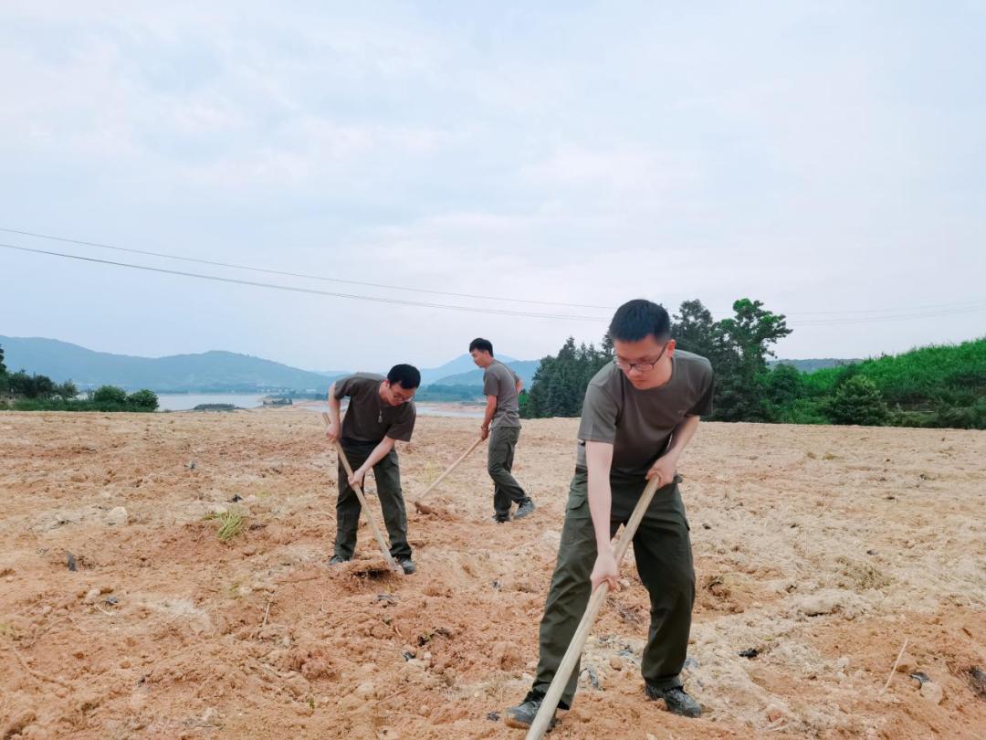 青年干部四下基层实践锻炼用青春力量谱写当代新歌