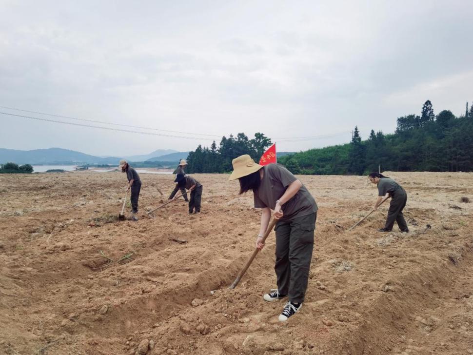 青年干部四下基层实践锻炼用青春力量谱写当代新歌