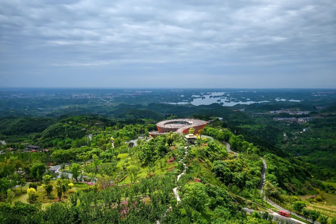 到成都龙泉山体验热气球文旅部安排