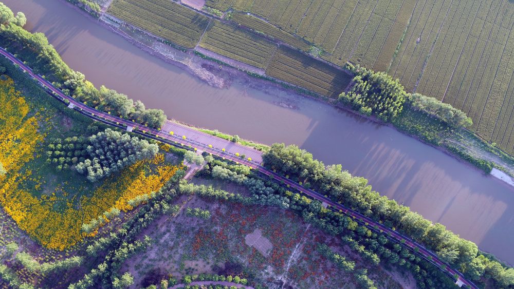 这是5月25日拍摄的吴桥县运河公园景色(无人机照片).