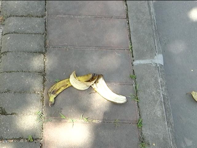 乱扔香蕉皮看图图片