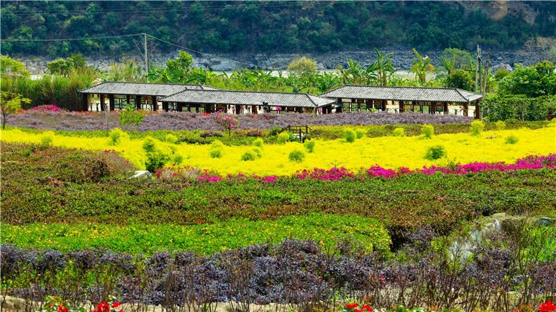 腾冲百花岭风景区图片