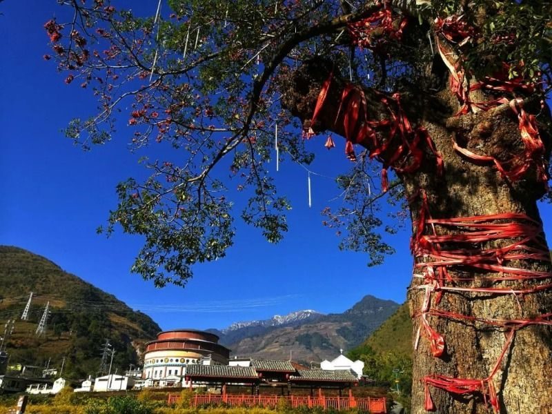 百花岭傈僳族音乐小镇唱响天籁之音