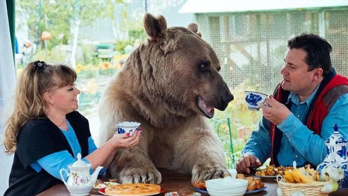 俄罗斯熊，真的不能惹