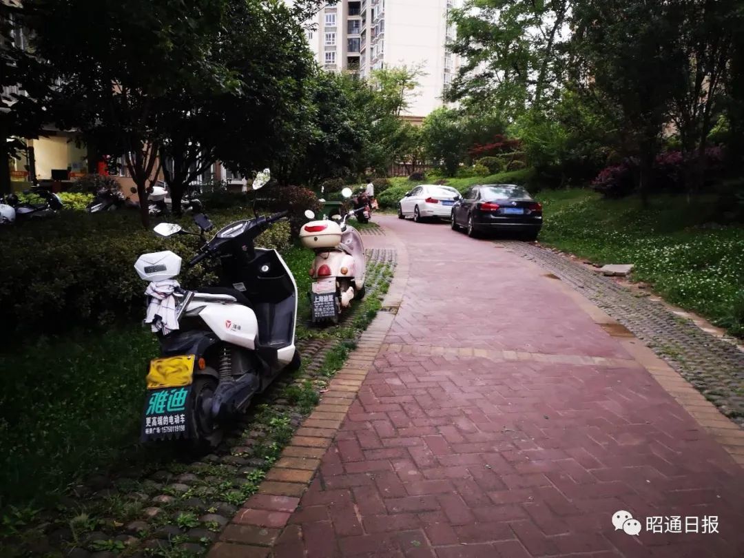 曝光台丨温泉泰鹤城小区乱停乱放现象严重