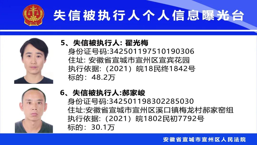 第二百五十五條,《最高人民法院關於公佈失信被執行人名單信息的若干