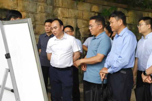 蔡锋率队调研龙王港水环境综合治理及排口整治工作