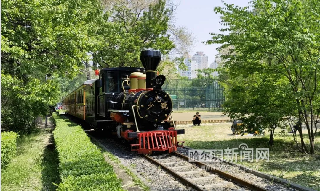 哈尔滨儿童公园小火车图片