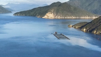 由于海水温度上升，新西兰国王鲑鱼公司将关闭国王鲑鱼养鱼场